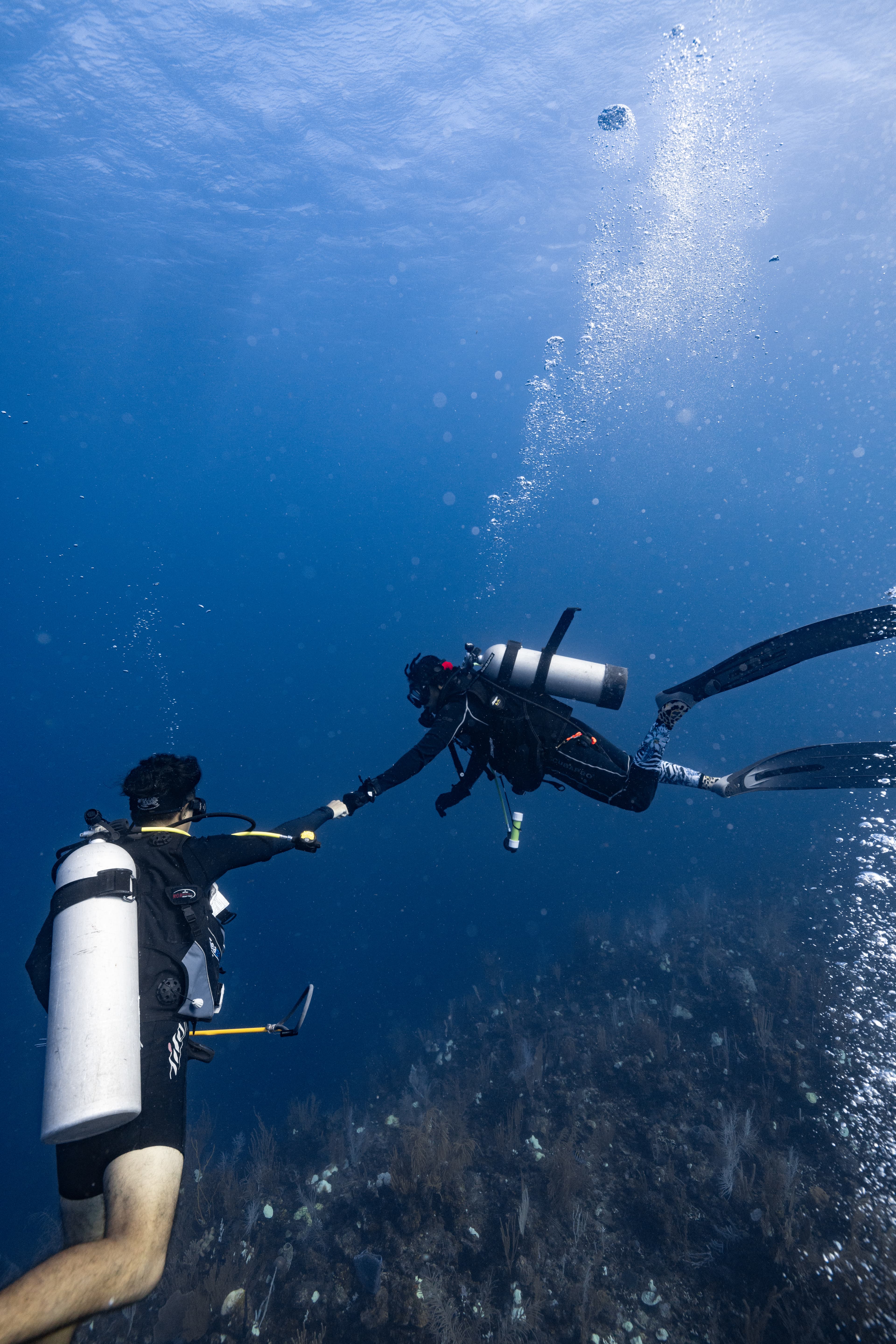 Two divers underwater reaching out to each other while bubbles rise around them.
