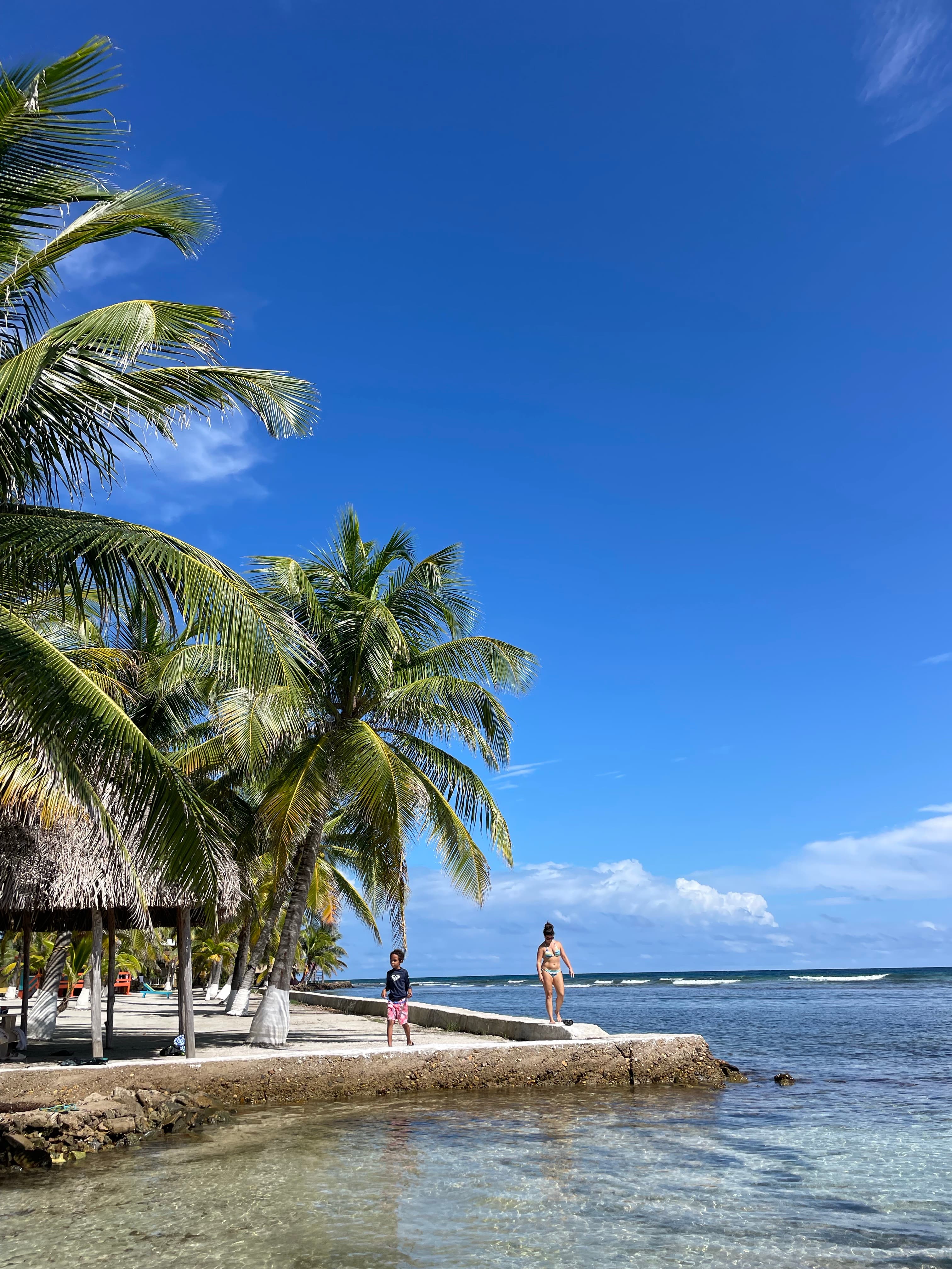 A sunny beach scene with palm trees, a child standing on the shore, and a woman walking near the water.