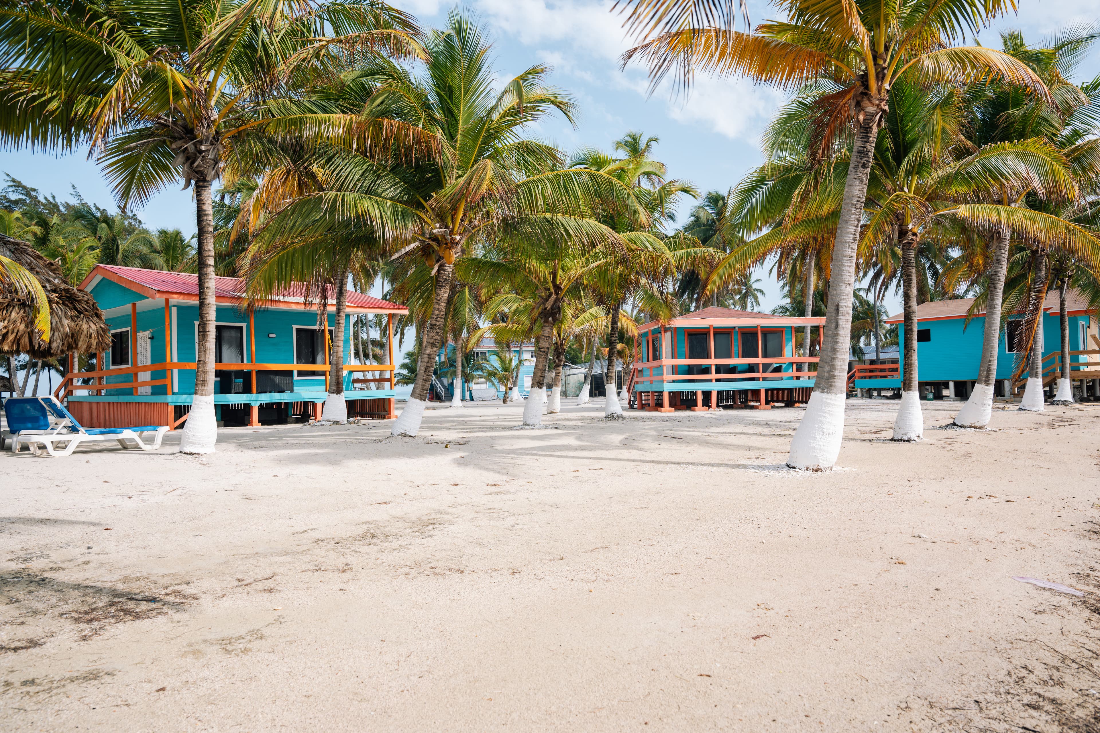 Colorful beach cabins surrounded by palm trees on a sandy shoreline.