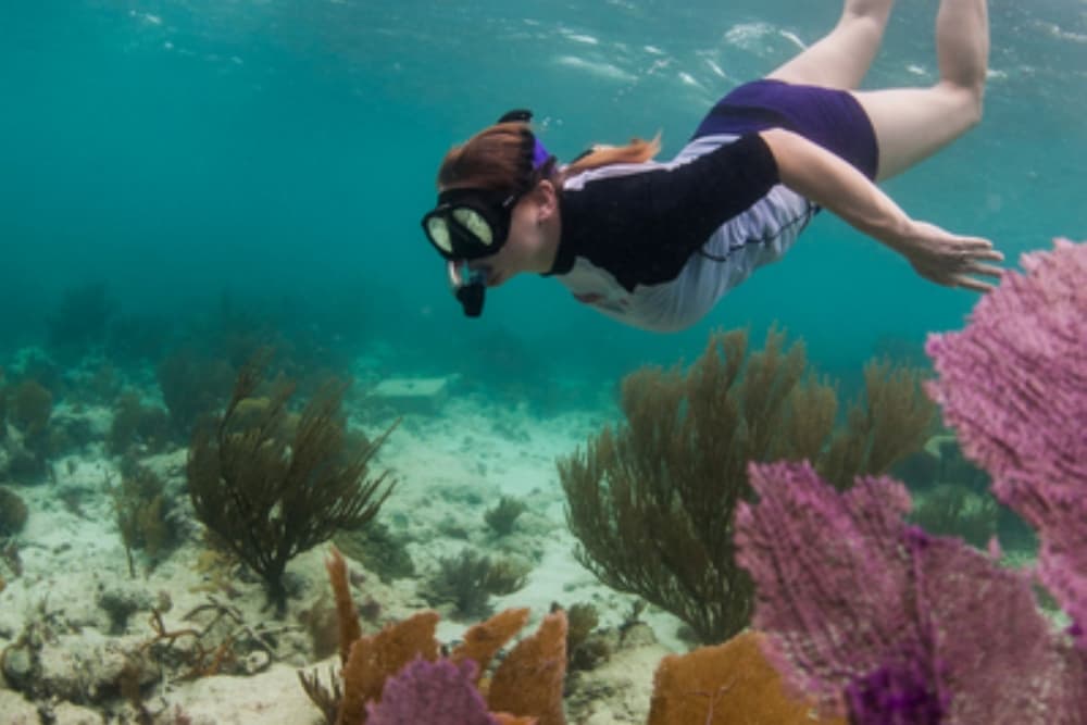 A diver swims underwater among colorful corals.