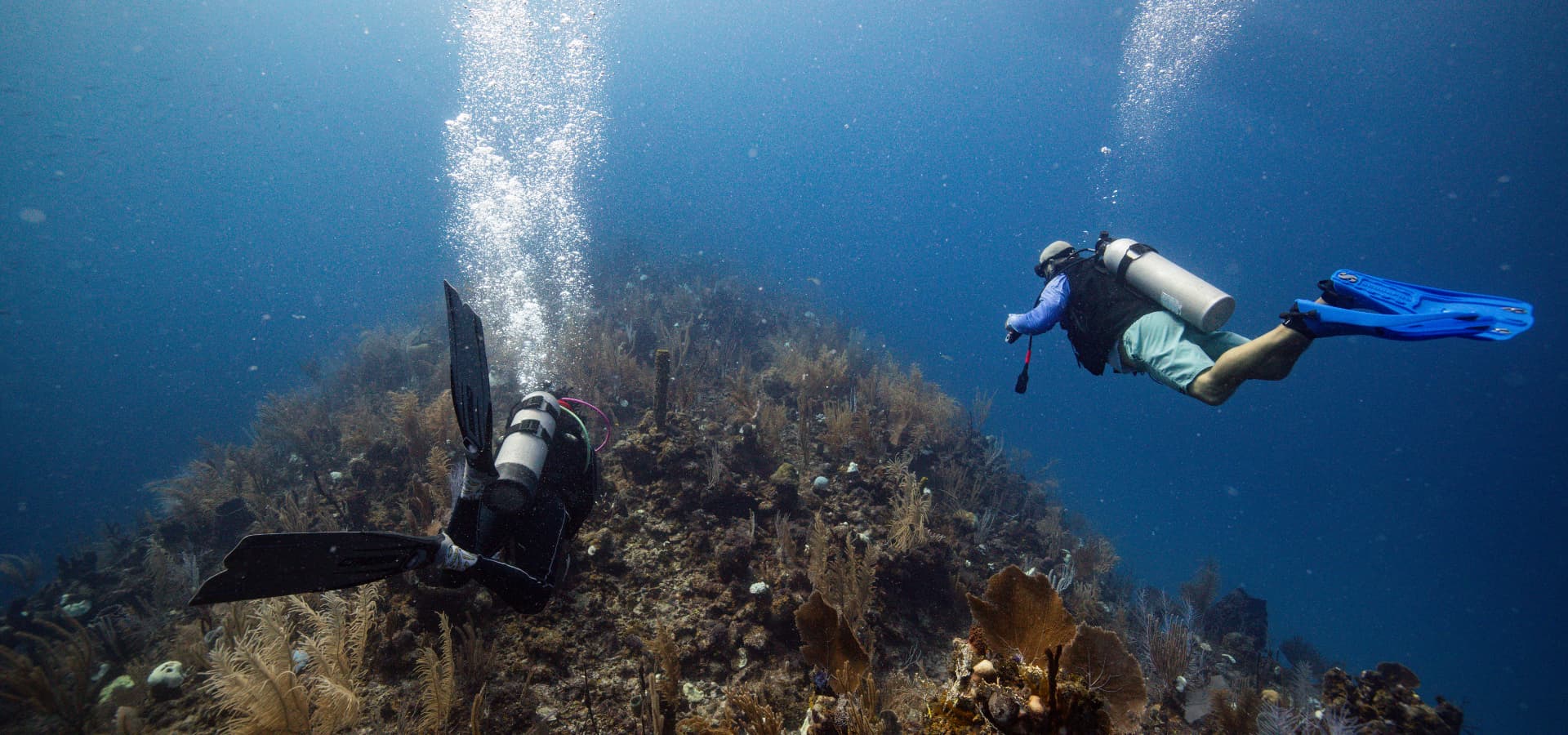 Two divers explore a coral reef underwater, surrounded by bubbles and marine life.