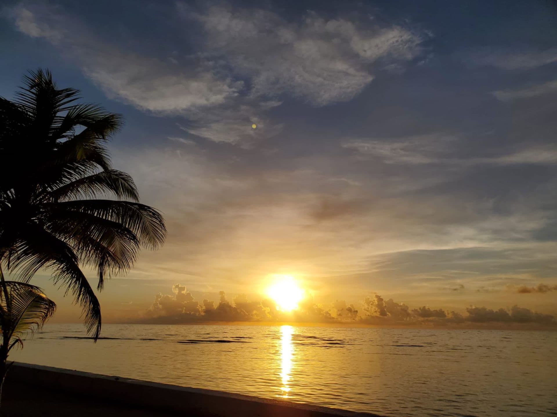A vibrant sunset over the ocean, framed by a palm tree.