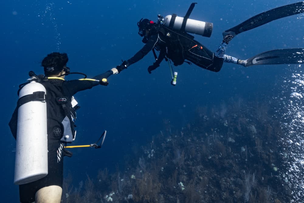Two scuba divers underwater reaching out to each other.