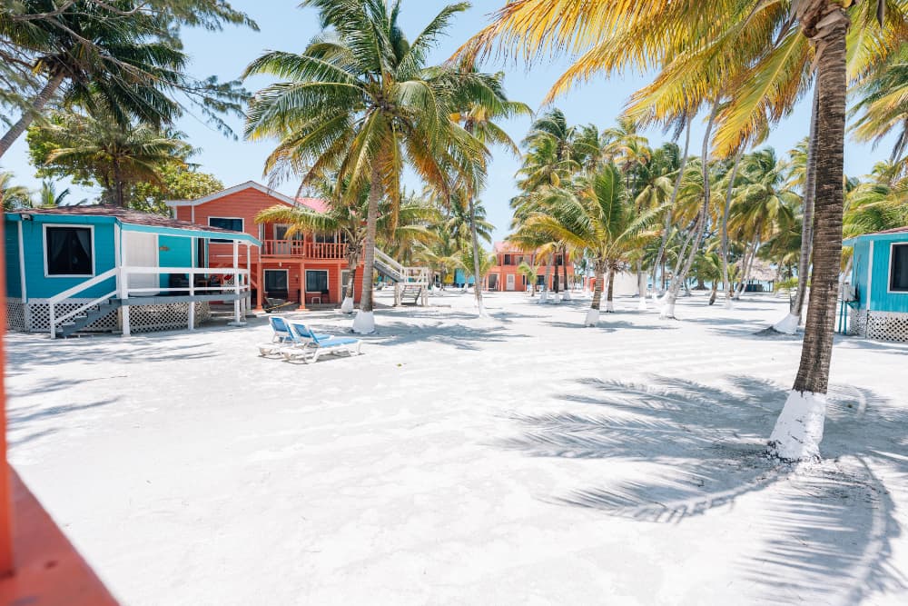 Colorful beach cabins surrounded by palm trees and sandy ground.