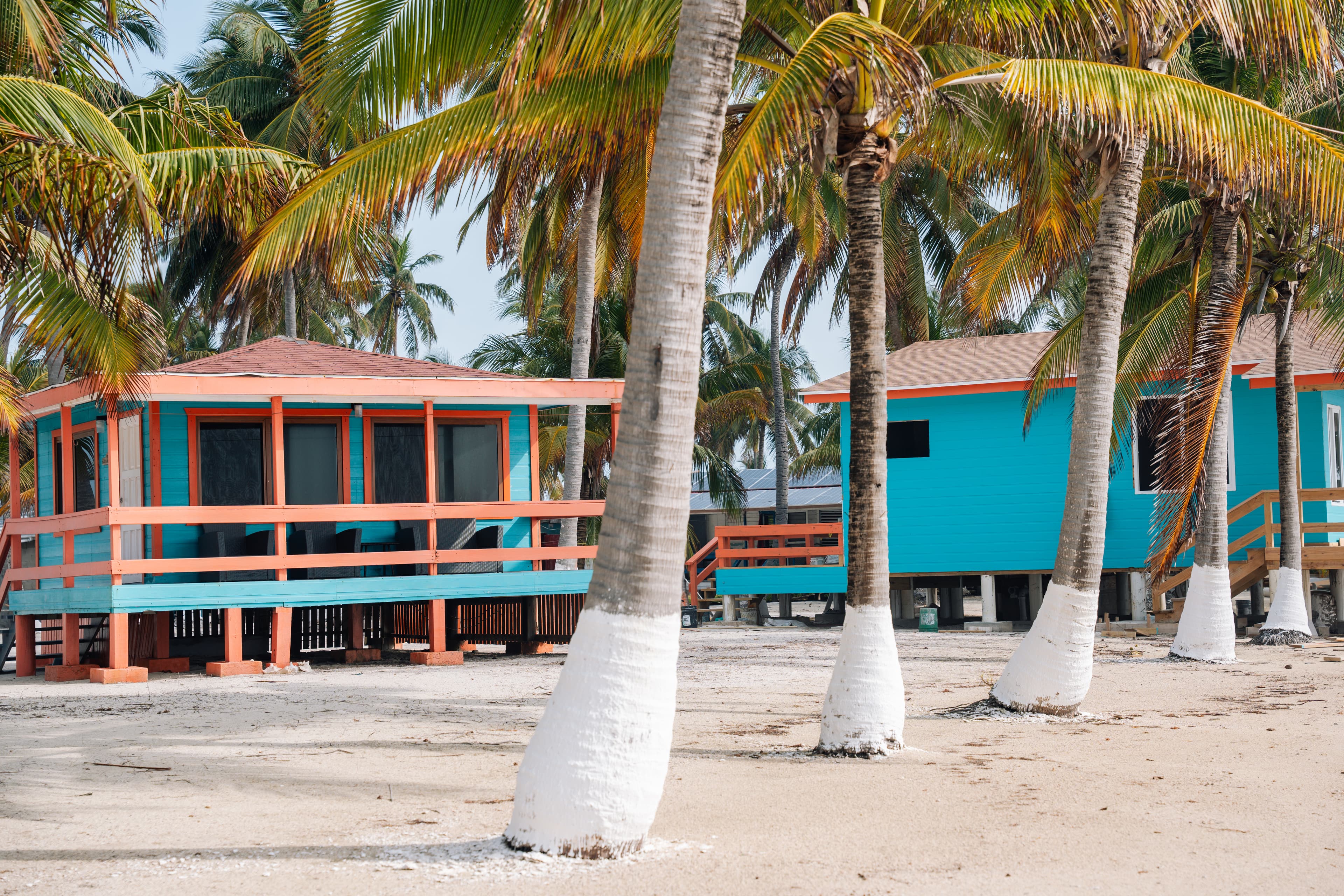Vibrant beach cabins surrounded by palm trees on a sandy shore.