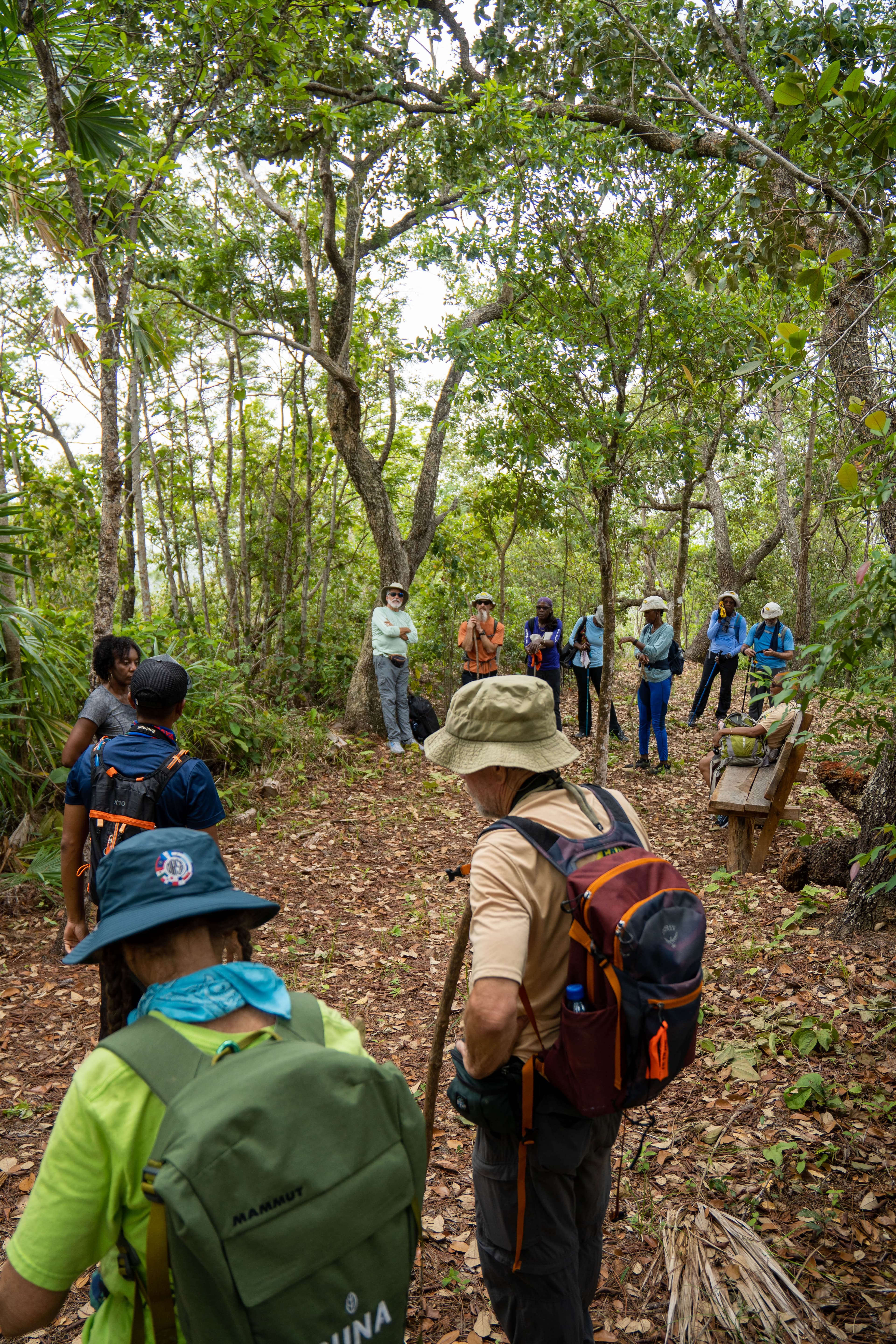 A group of hikers gathers on a forest trail surrounded by greenery.