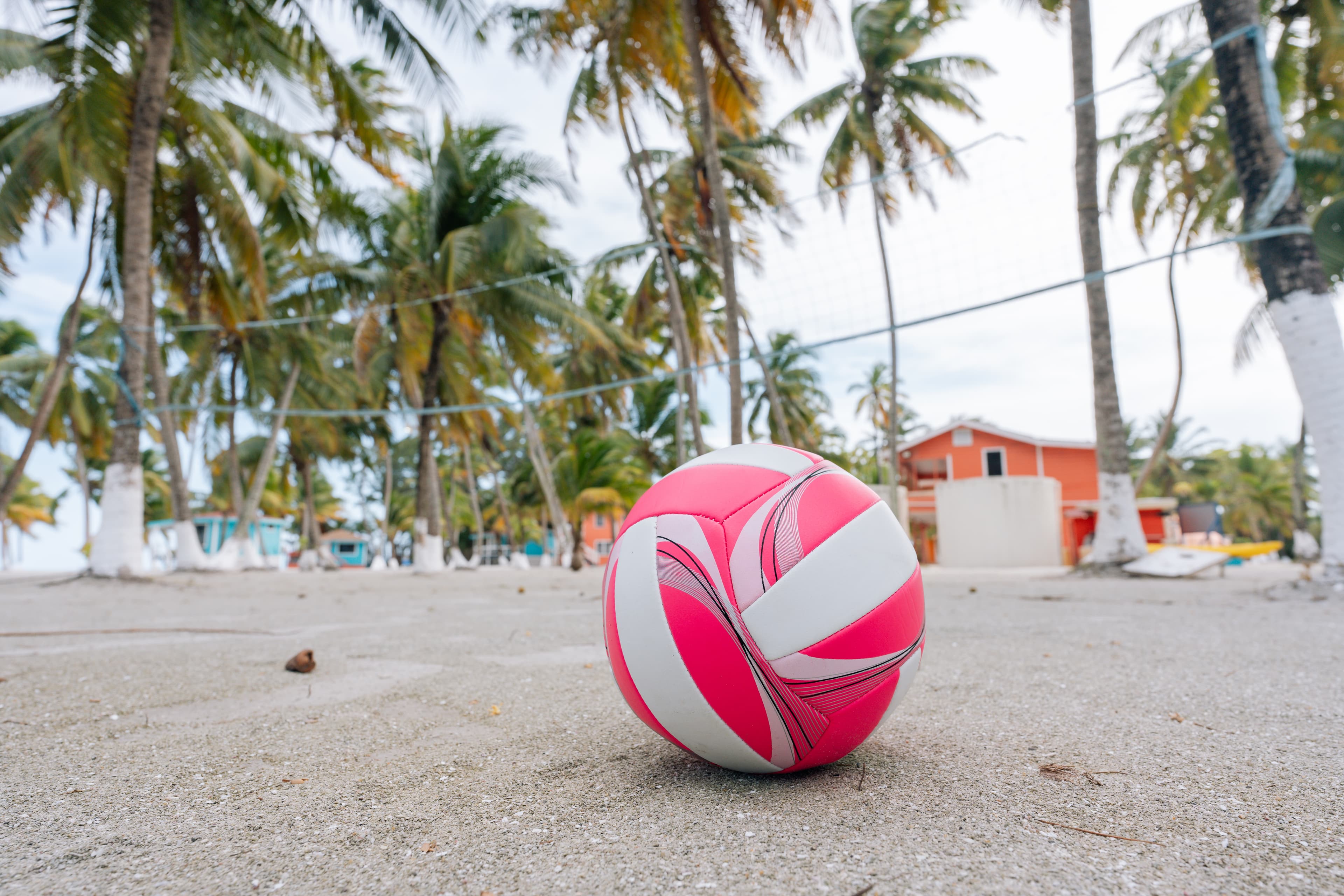A pink and white volleyball sits on sandy ground surrounded by palm trees and a beach setting.