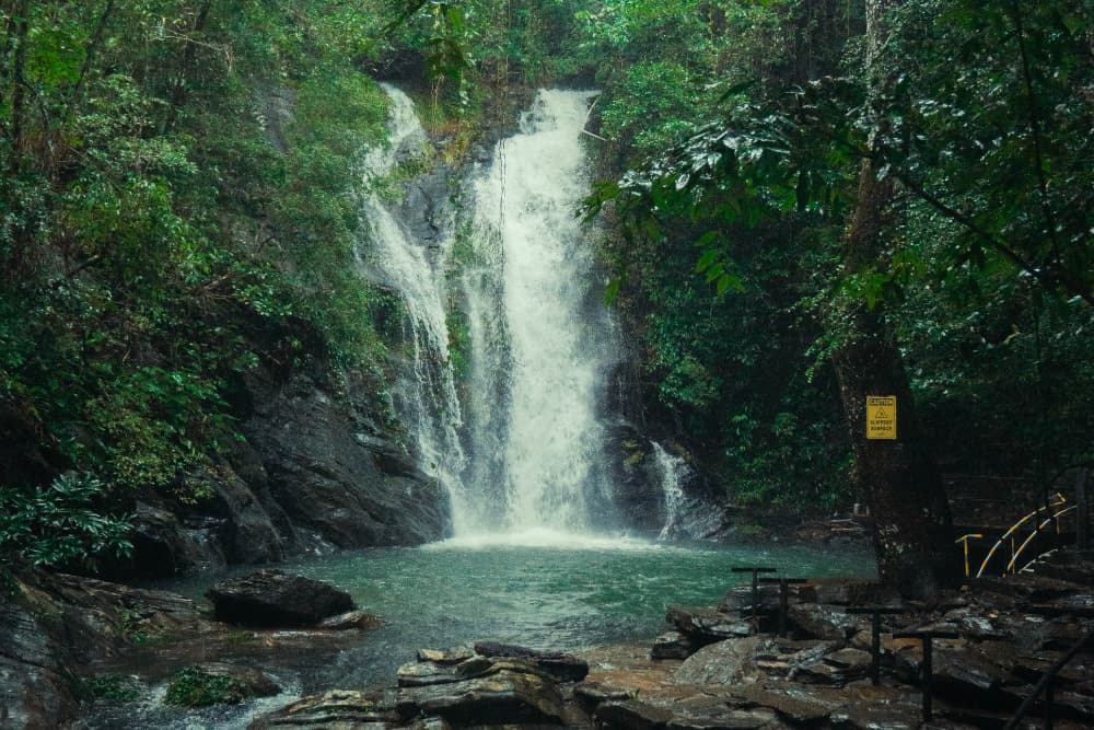 A lush waterfall cascades into a serene pool surrounded by dense greenery.