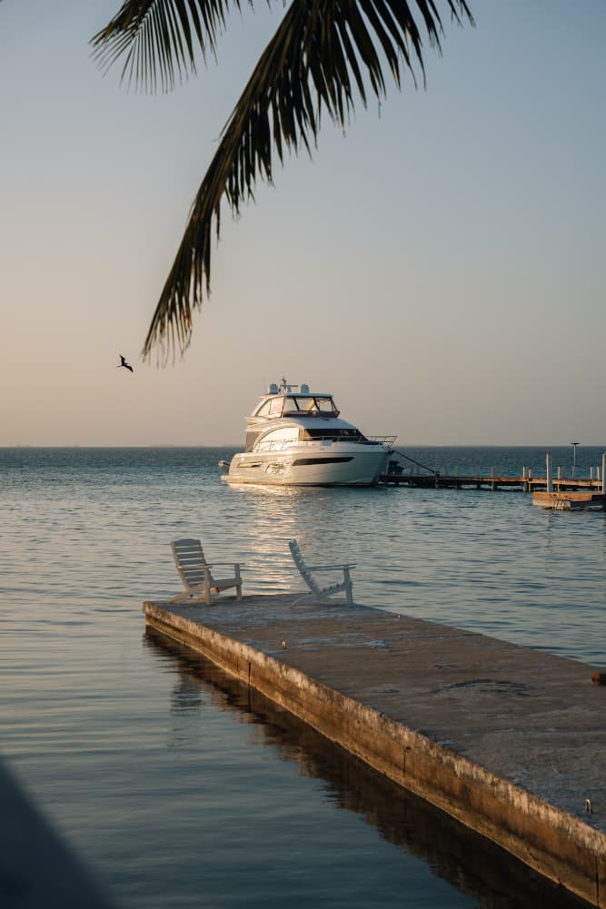 A luxury yacht docked by a tranquil waterfront with a palm tree and chairs in the foreground.