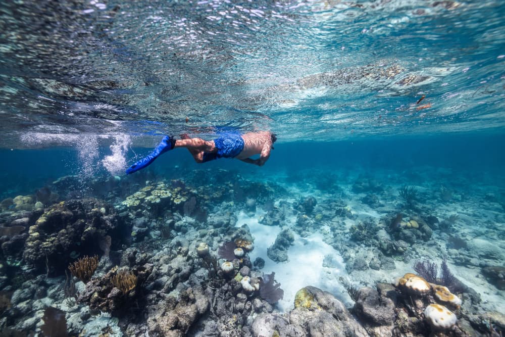 A person swims underwater over a vibrant coral reef.