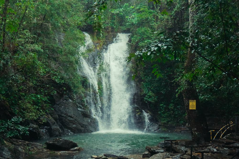 A serene waterfall cascades into a tranquil pool, surrounded by lush greenery.