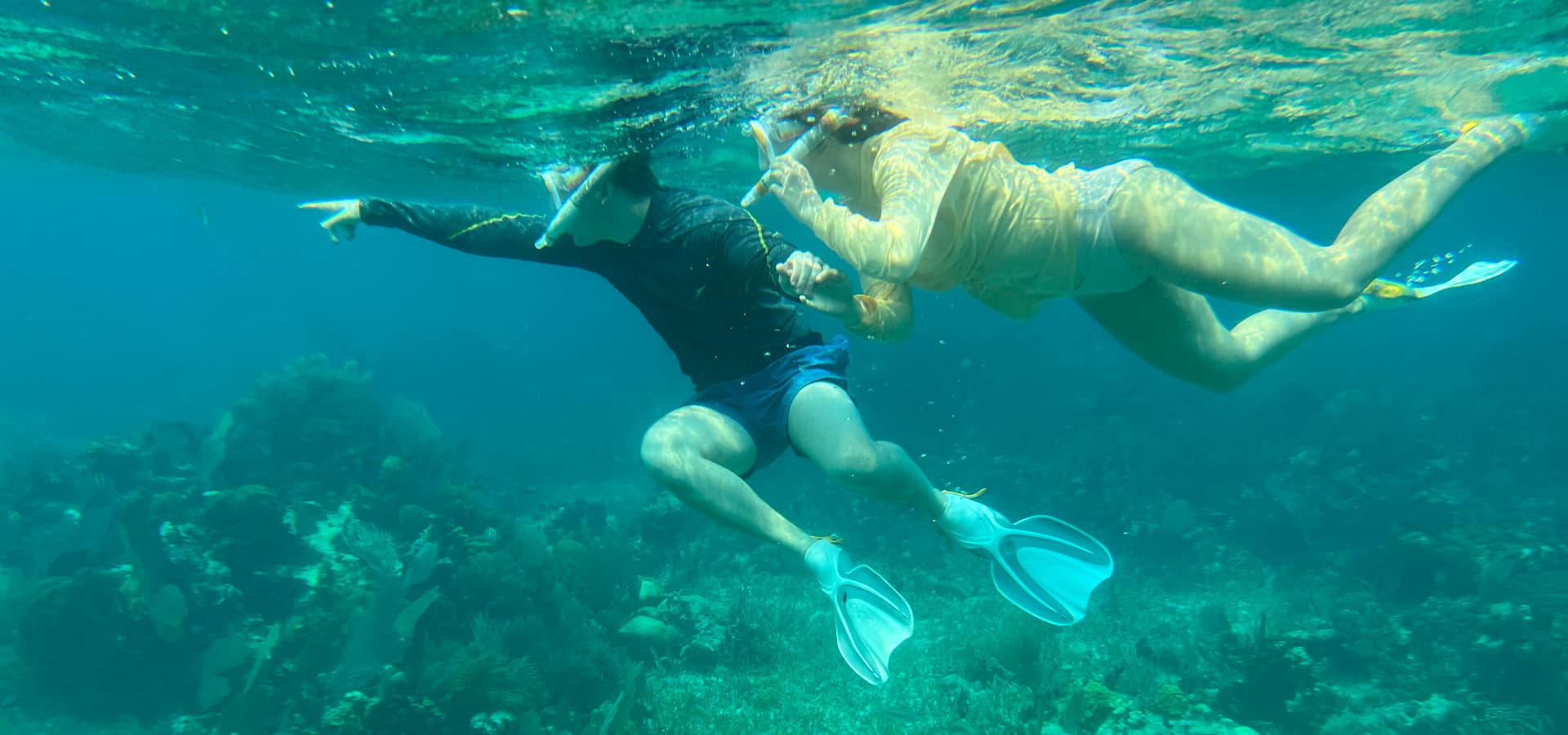 Two individuals swim underwater while pointing and exploring a coral reef.