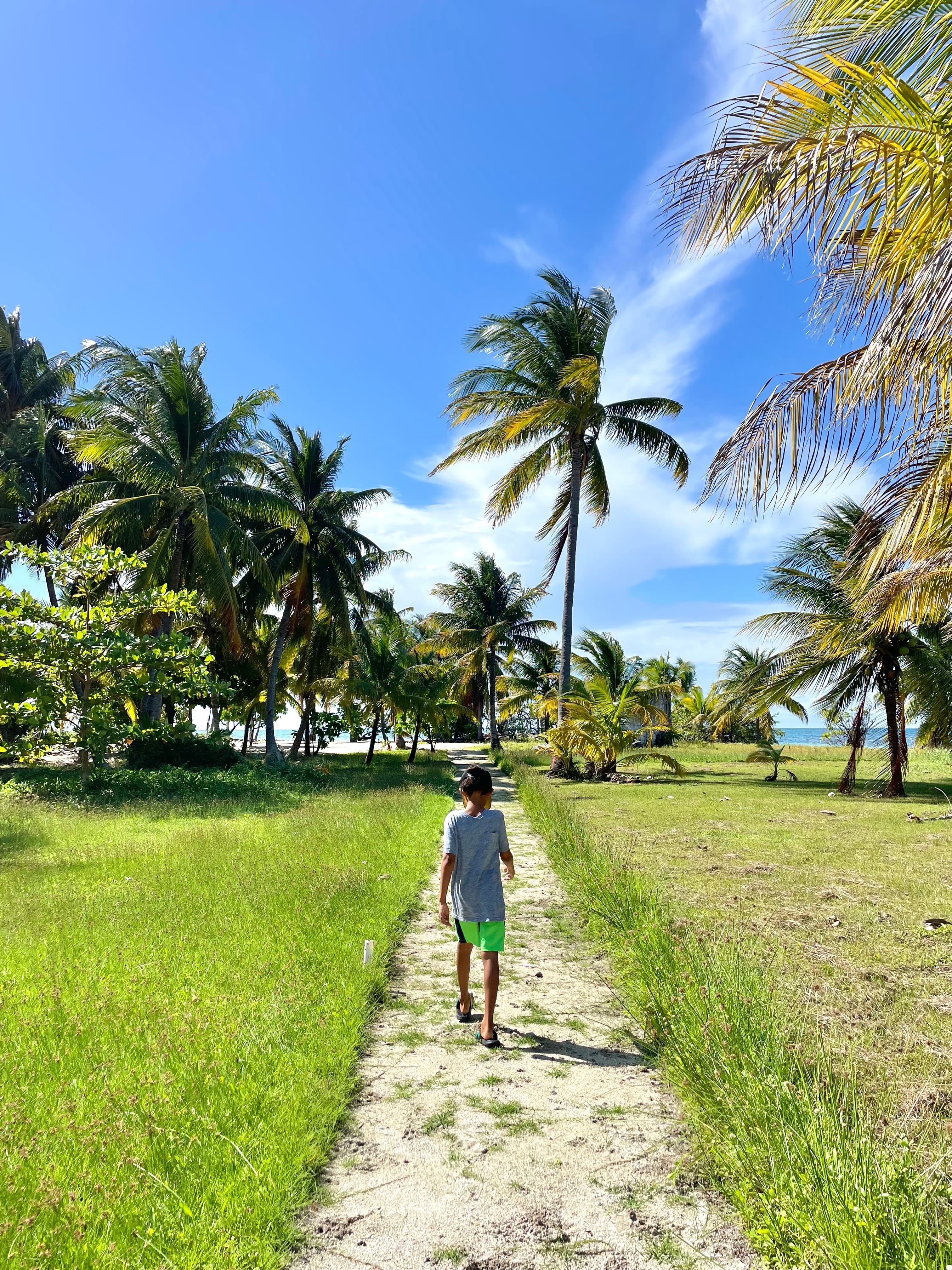 A child walks along a sandy path surrounded by palm trees and green grass under a clear blue sky.