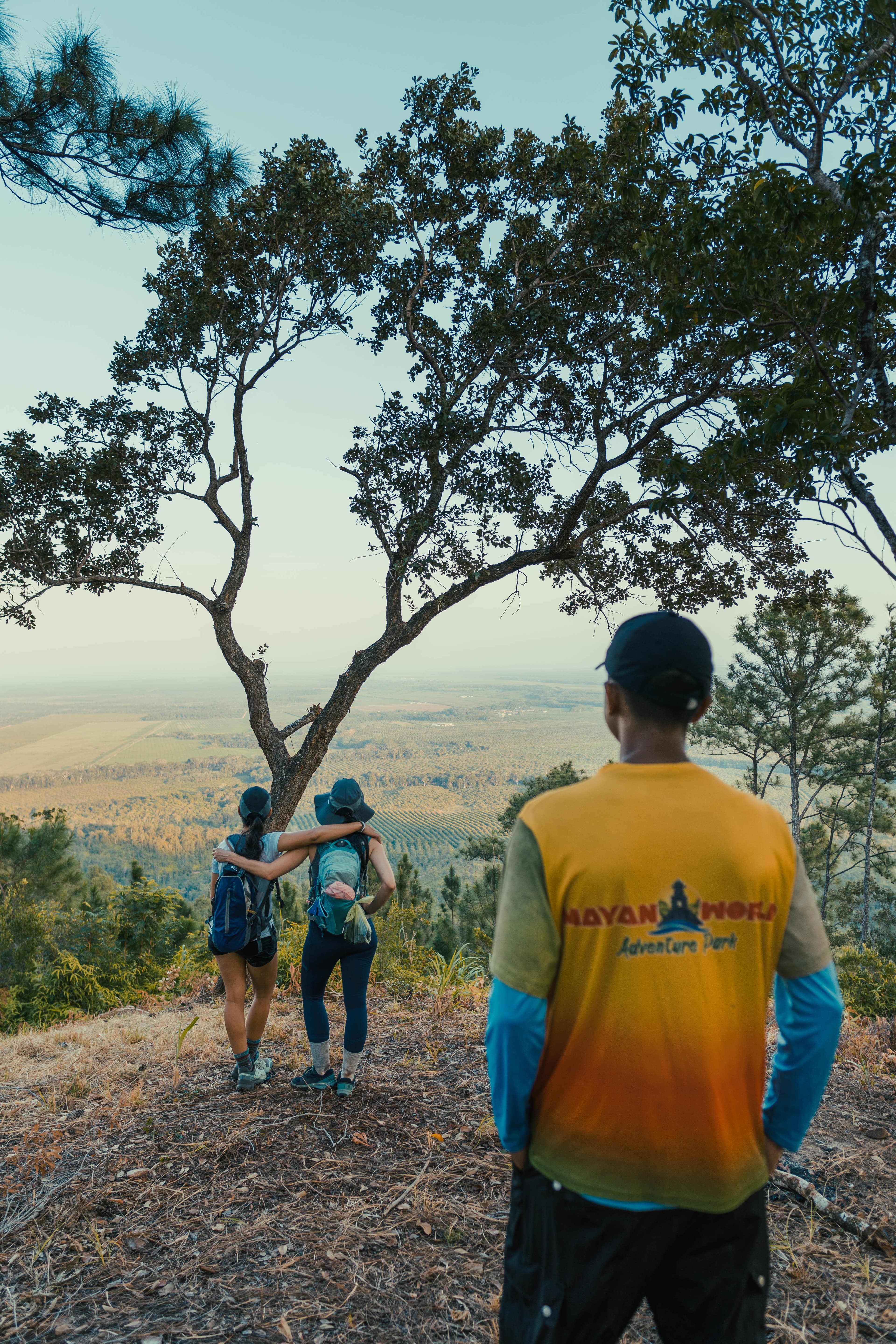 Three hikers enjoy a scenic view from a hillside, surrounded by trees.