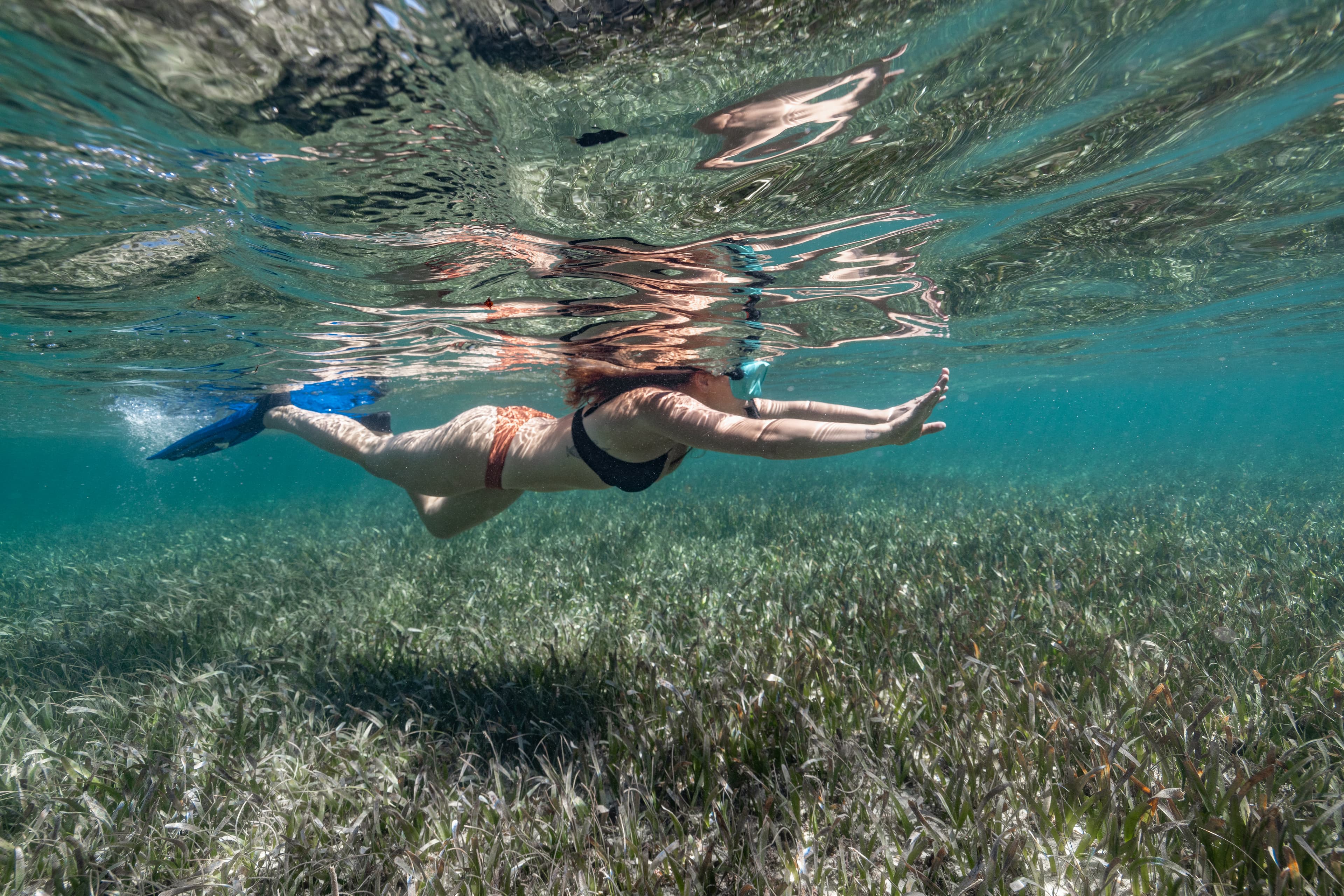 A person swims underwater above a seagrass bed.