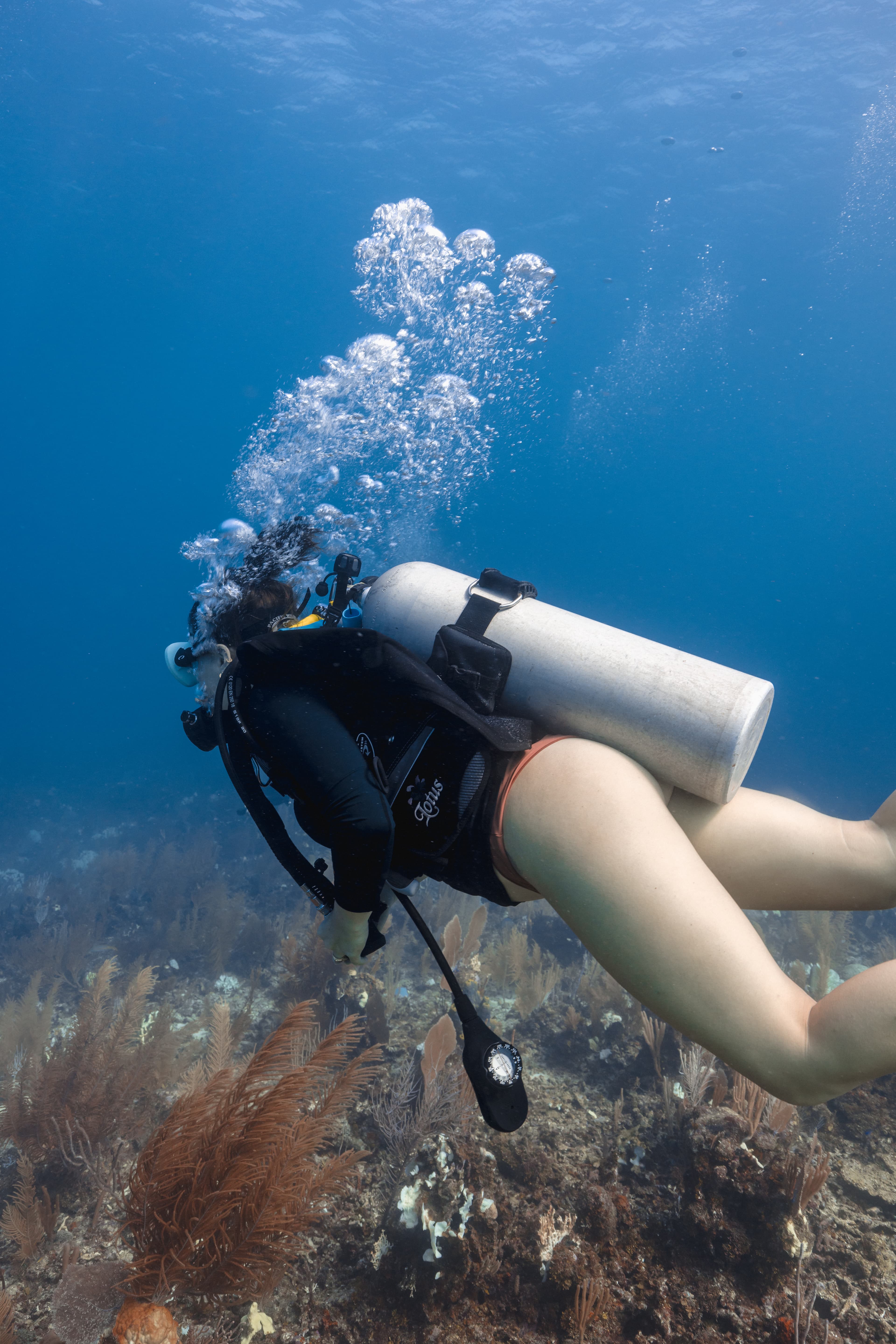 A diver swims underwater surrounded by marine flora, releasing bubbles.