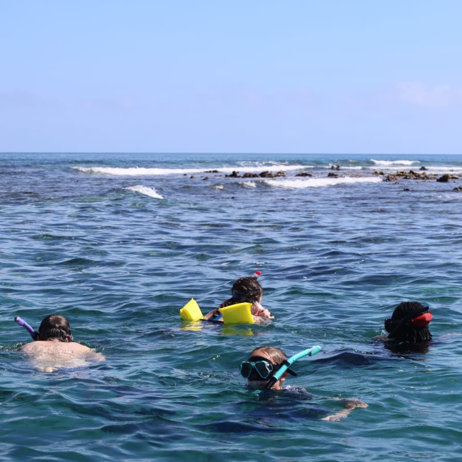 Four people snorkeling in clear blue water near a rocky shoreline.