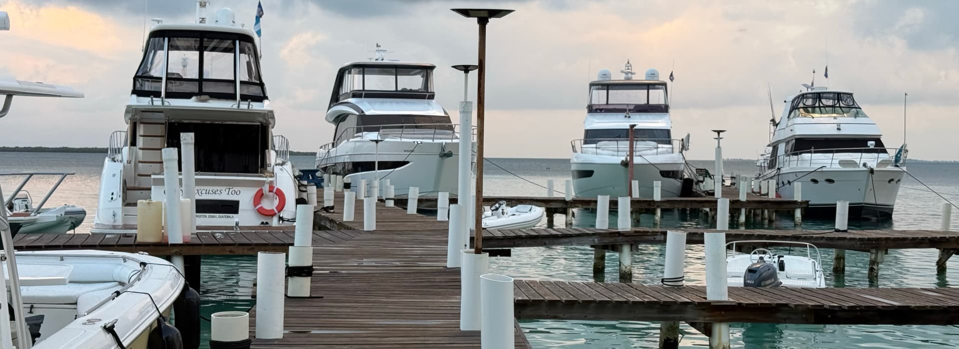 A collection of luxury yachts docked at a marina with a serene water background.