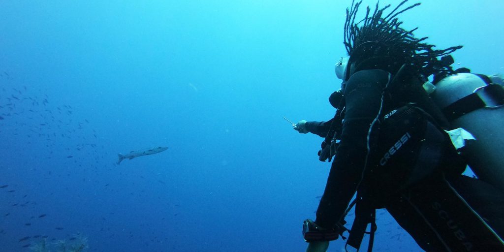 Belize Specialty Dive Tours Blue Hole Glover S Reef Lionfish Hunting