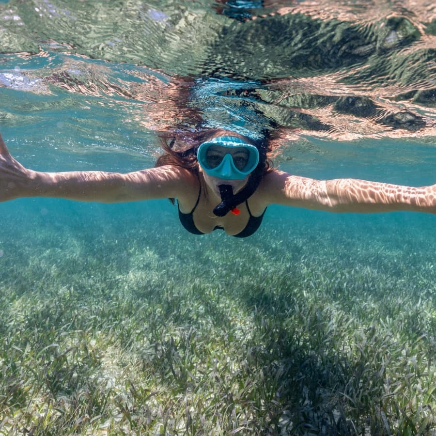 A person in a snorkel mask swims underwater among seagrass.