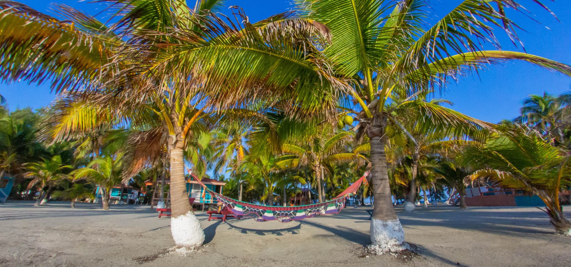 A colorful hammock hangs between palm trees on a sandy beach.