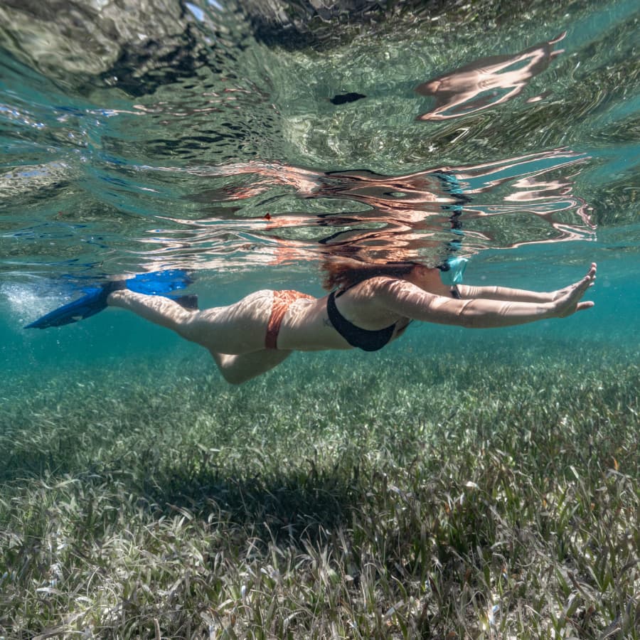 A swimmer glides underwater over a bed of green seagrass.