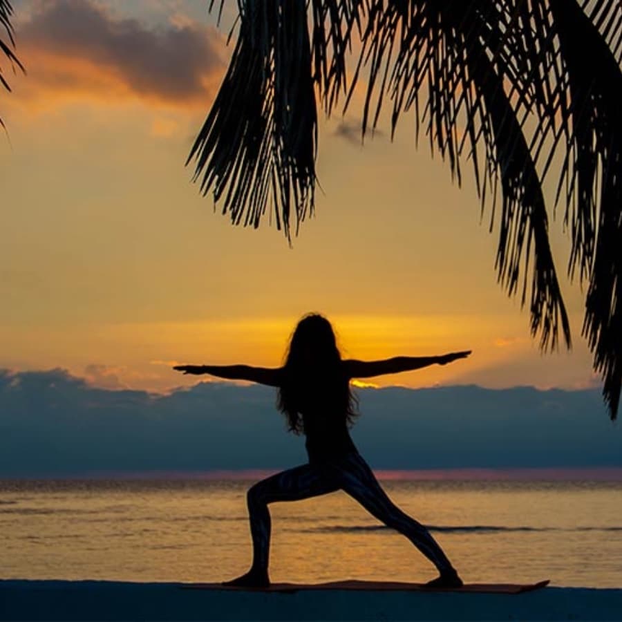 A silhouetted person practicing yoga at sunset near the ocean, framed by palm leaves.