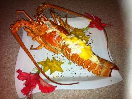 belize-lobster-season