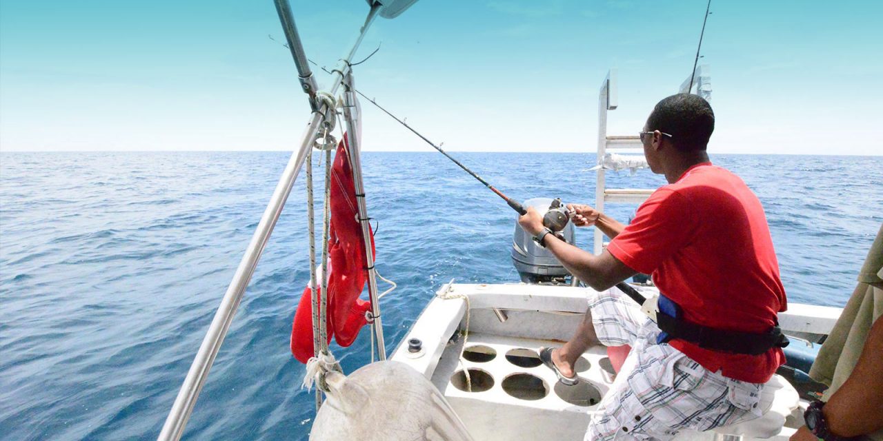 Belize Deep Sea Fishing Tours Blue Marlin Beach Resort